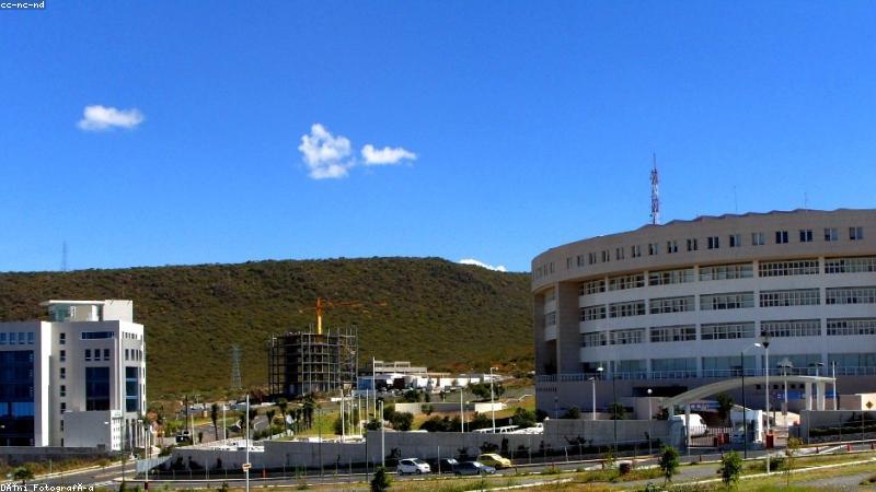 btsow磁力搜索首页极速寻踪检索界面展示